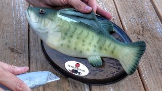 What's inside Billy the Bass?