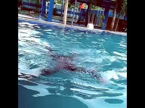 Vivi Rosalita - 20 February 2016 - 1079781573