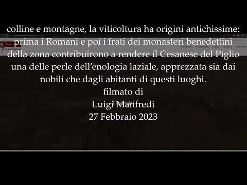 Maria Grazia Borgia-4
