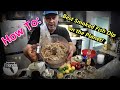 How To Make The Best Smoked Fish Dip On The Planet Florida Fishing Friends Style Recipe