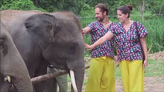 preview picture of video 'Great Elephant Experience in Chiang Mai - No Riding - Chiang Mai Elephant Home'