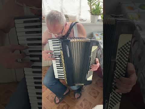 Weltmeister accordion, 4/4 accordion, 120 Bass, 41 keys, 3 voices, 5 registers, Full Size,New Straps