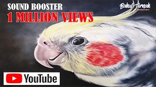 Download lagu HOW TO TRAIN COCKATIELS SOUND | COCKATIEL SINGING HAPPY BIRTHDAY | INDONESIA RAYA mp3