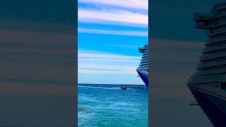 Carnival Celebration 🛳️ #share #like #subscribe #comment #cruise #vacation #shortvideo #shortsvideo