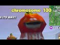 Chromosome 100