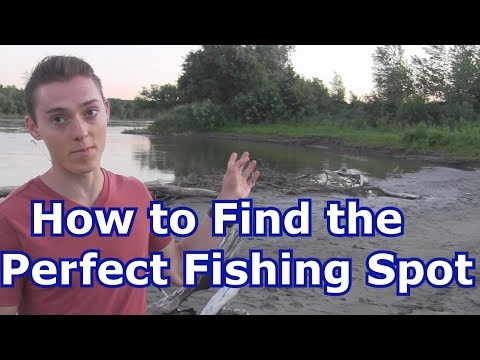 Best Fishing Tips and Tricks- How to Find Fishing Spots and Start Catching More Fish