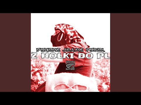 Z HOLKI DO PL (feat. Fidel & JEVNS)