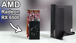 Meet the Dell AMD Radeon RX 6500: Fastest Single-Slot LP AMD GPU?