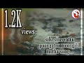 Silu Silu Vendru Poongatru Song Whatsapp Status Full Screen Vanamagan Movie