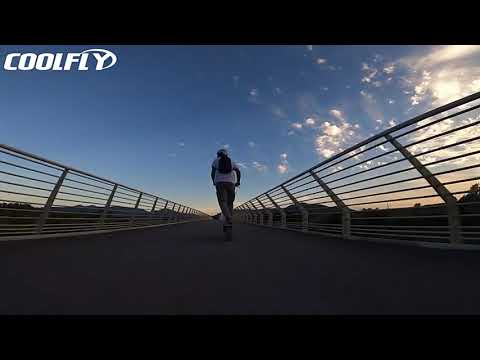 The Terrain electric scooter AERIUM Coolfly 1600 W Dual black