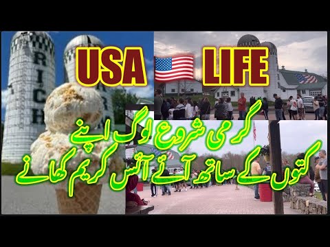 Trip of Icecream 🍦 Farm|usalife|trip|mehakusa