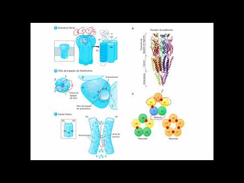 Curso de Farmacologia Aula 8   Bloqueadores neuromusculares1