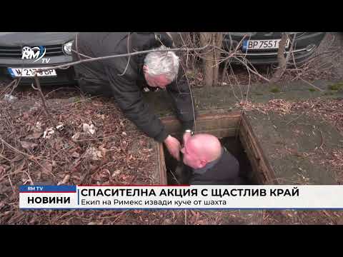 Спасителна акция с щастлив край: Екип на Римекс извади куче от шахта