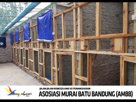 Berarti, yang meningkatkan potensi forum pria Perlakuan nasional potensi