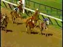 Lady's Secret - 1985 Ballerina Handicap