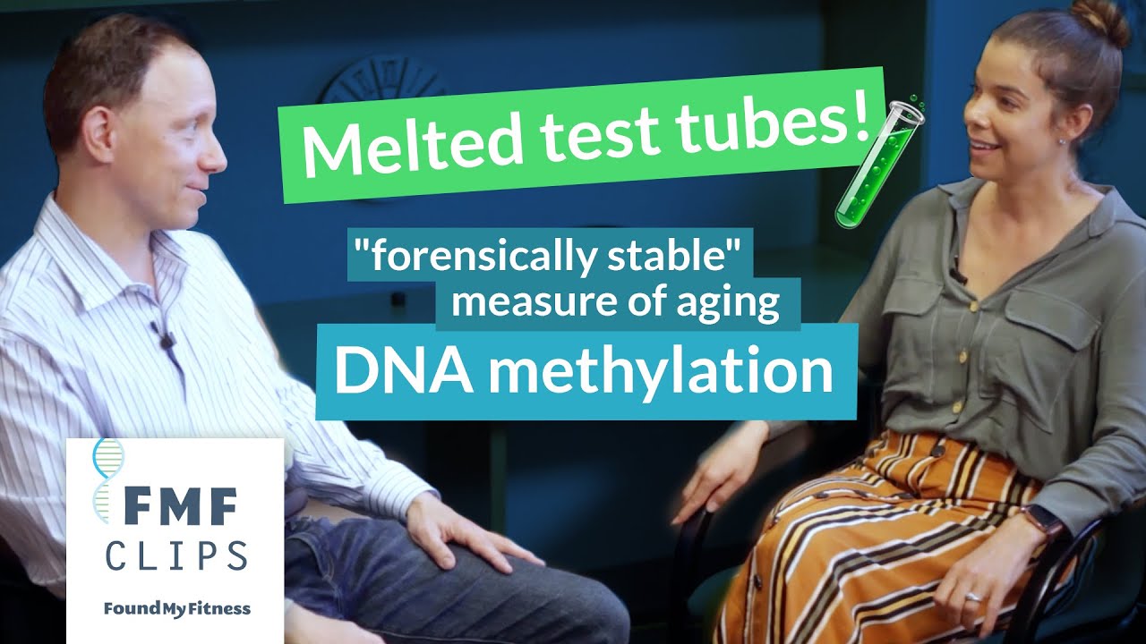 Melted Test Tubes! DNA methylation, a "forensically stable" measure of aging | Steve Horvath