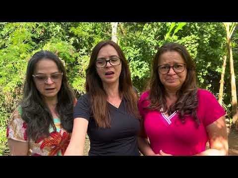 Castelo Forte-581 harpa cristã…