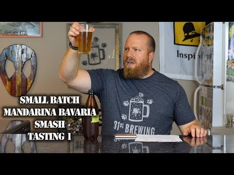 What do Mandarina Bavaria hops taste like? Small Batch Brewing SMaSH All Grain 2 Row Tasting 1