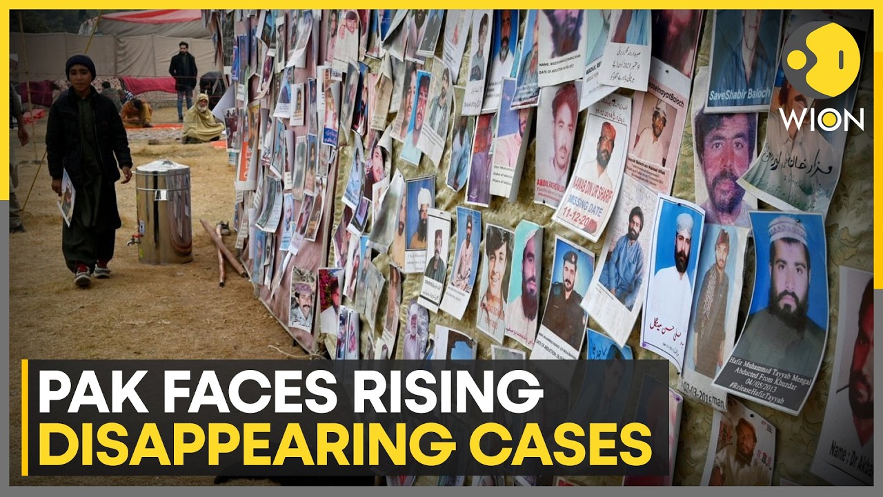 UN Committee Raises Concerns Over Enforced Disappearances | WION News