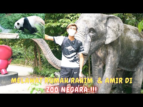 KAMI MELAWAT RUMAH RAHIM & AMIR DI ZOO NEGARA !! - SEMUA EXCITED !