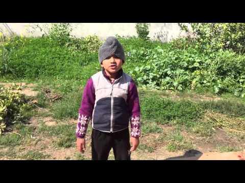 Panj Tara by Navroop