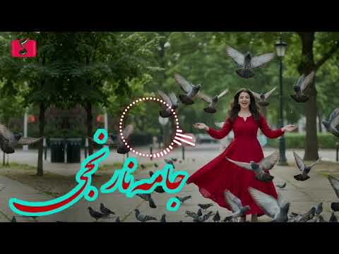 آهنگ شاد هزارگی "جامه نارنجی" با صدای هوش مصنوعی Happy Hazaragi song with Ai 