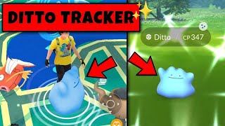 How to Catch Ditto in Pokemon Go ? Ditto All Disguise in Pokemon GO | Pokemon Go Ditto Catching