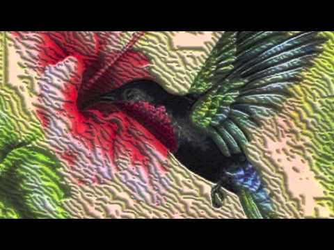 Boxguts and Will Taubin; Headless Elephant Stampede; Mega Mosaic