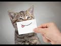 Whats App New Videos Badamis Ak Bimari He Yesi Bimari Ye Jawani He Diwani Dilog
