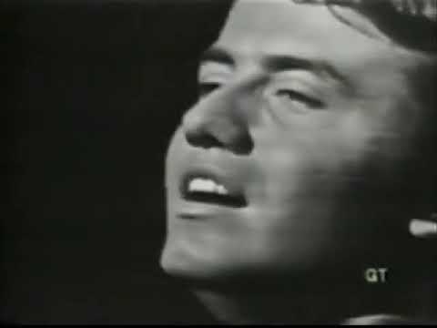JAY & THE AMERICANS - Cara Mia 1965