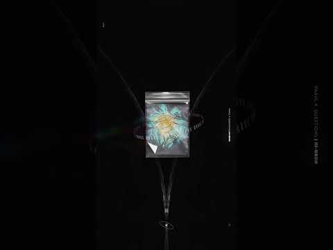 Quarterhead & SESA - You Will See | The Myth of NYX