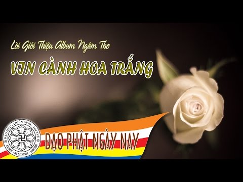 01. Lời giới thiệu