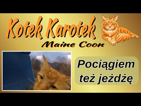 Daleko jeszcze?