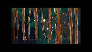 Cover art for Miracle Forest (VIP MIX)