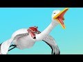 கொக்கும் நண்டும் தமிழ் நீதி கதை Tamil Stories 