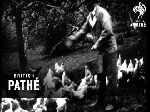 War Neuroses Version A Reel 2 (1917-1918)