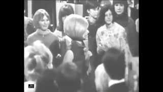 Dusty Springfield - Every Day I Have To Cry (Ready Steady Go)