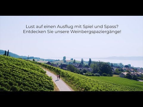 Entdecken Sie die Waadtländer Weinbergspaziergänge!