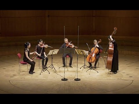 A. Dvorak: Streichquintett Nr. 2 G-Dur op. 77  | Allegro con fuoco | Philharmonie Lunch vom 6.6.2019