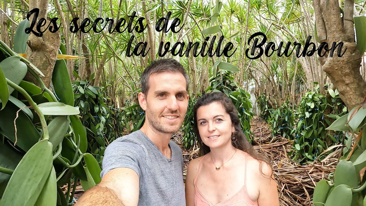 #11 - Visite d'une vanilleraie à la Réunion : les secrets de la vanille Bourbon