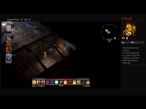 Divinity: Original Sin 2 pt 42