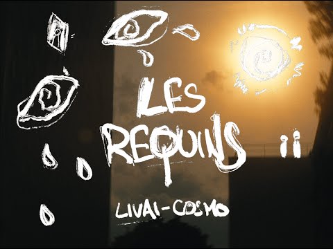Video thumbnail for ​les requins