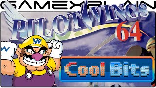 Cool Bits - Pilotwings 64's Hidden Wario Cameo