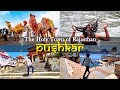 Top 8 Places to visit in Pushkar | Timings, Tickets and all Tourist places Pushkar, Rajasthan