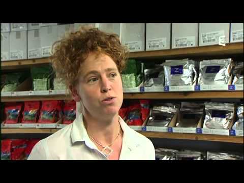 Lorient: de la nourriture pour 90 jours de mer