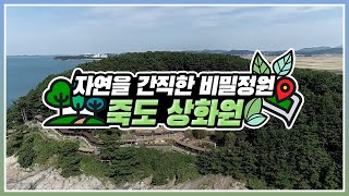 [#언택트숲여행] 자연을 간직한 비밀정원, 죽도 상화원
