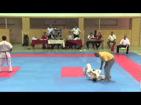 Knock outs - Ko's - VIENNA OPEN - Erstes offenes internationales Kyokushin-Kan Karate Turnier