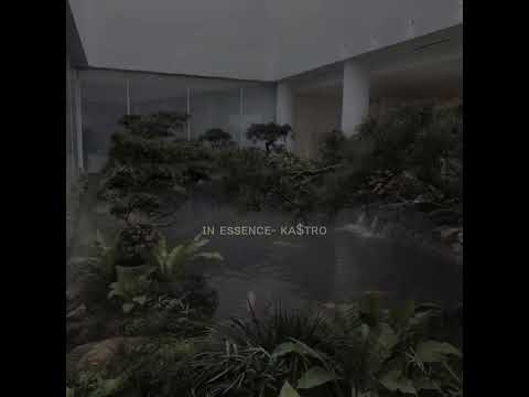 In Essence- ka$tro (sped up and a better backround)