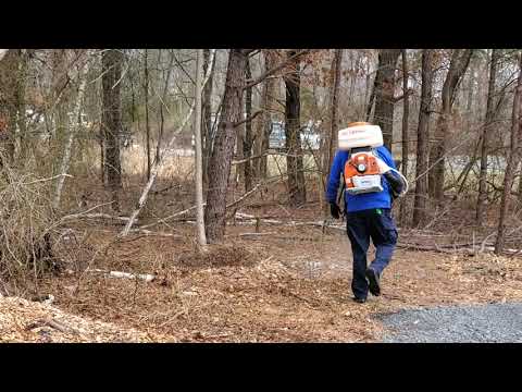 Ticks Invade Our Office in Farmingdale, NJ