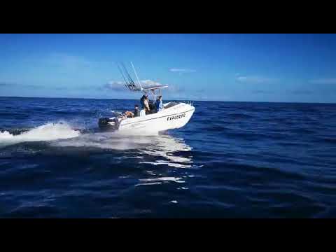 Cobra Cat 525. Powered by Suzuki South Africa